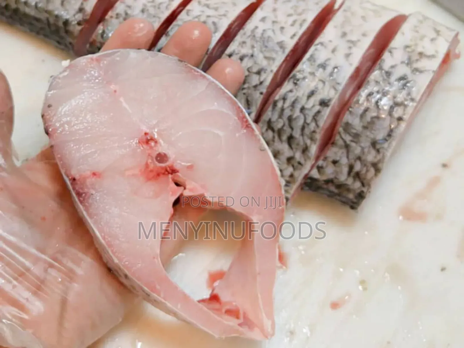 Fresh Threadfin Fish – Wholesale Retail| Ghana