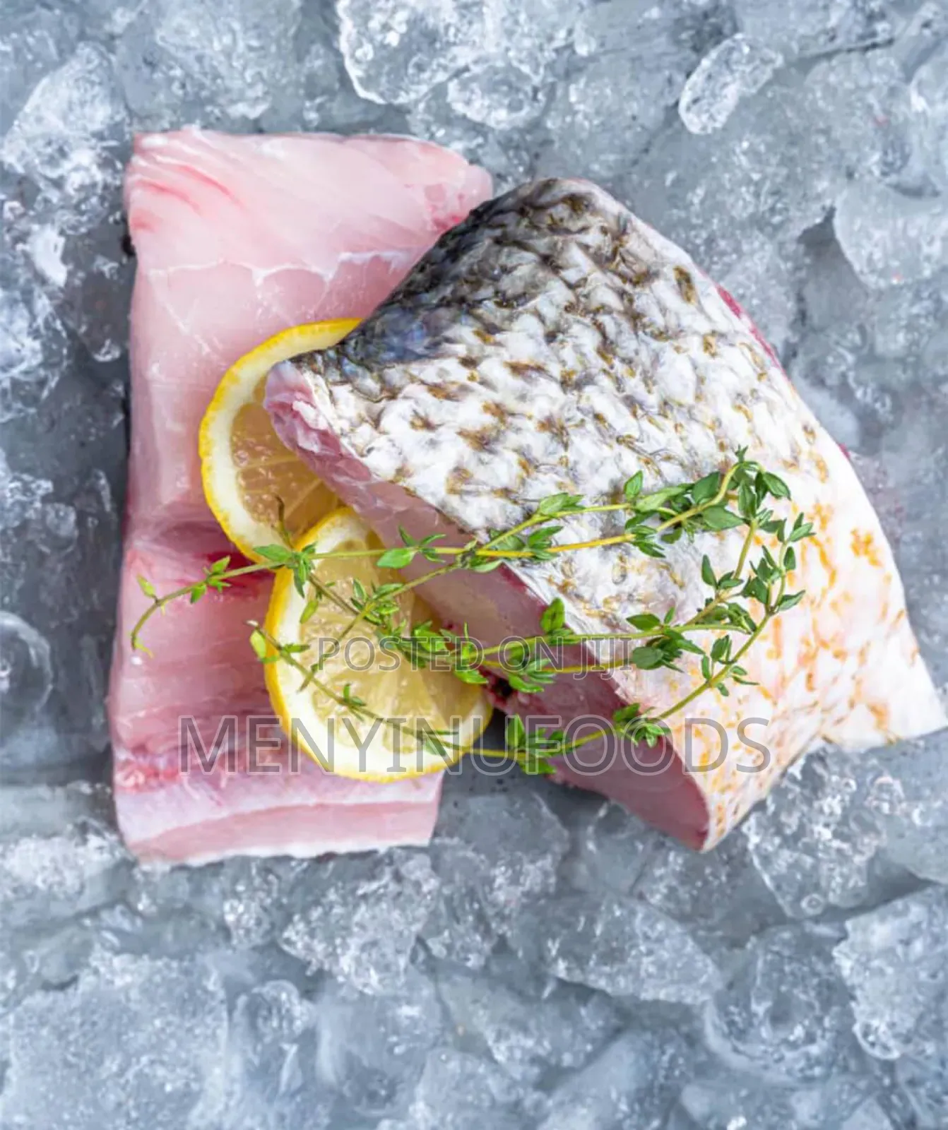 Fresh Threadfin Fish – Wholesale Retail| Ghana