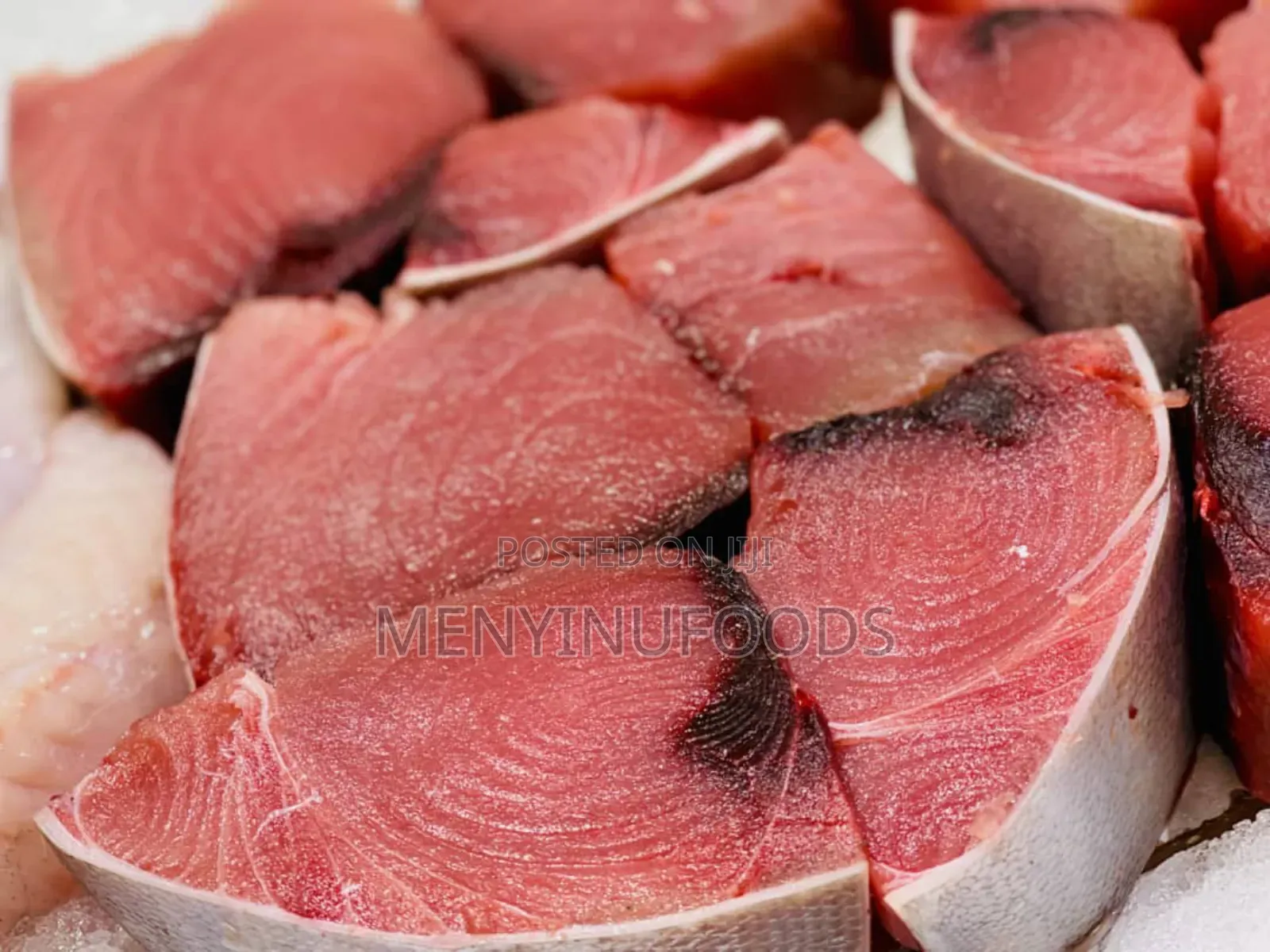 Fresh Tuna Fish for Sale – Wholesale Retail | Ghana