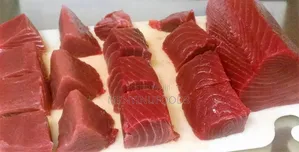 Fresh Tuna Fish for Sale – Wholesale Retail | Ghana