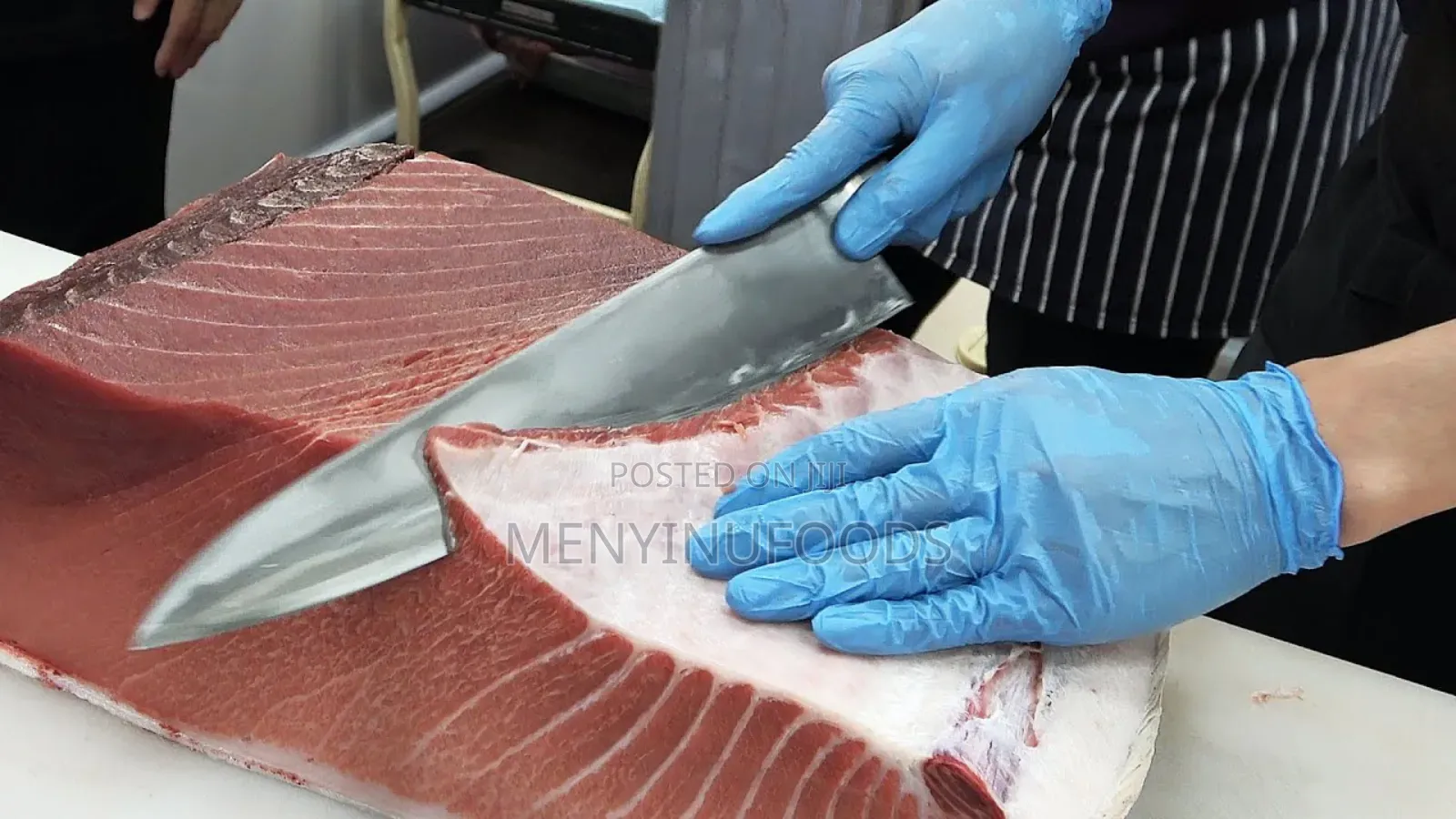 Fresh Tuna Fish for Sale – Wholesale Retail | Ghana