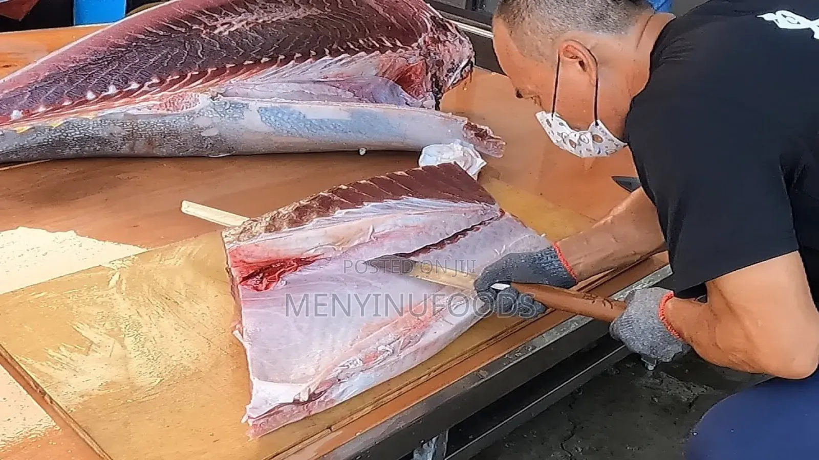 Fresh Tuna Fish for Sale – Wholesale Retail | Ghana