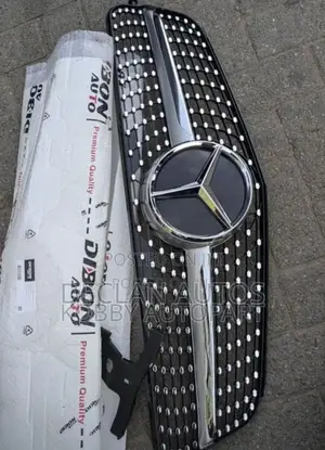 Mercedes Benz C250 Front Grill