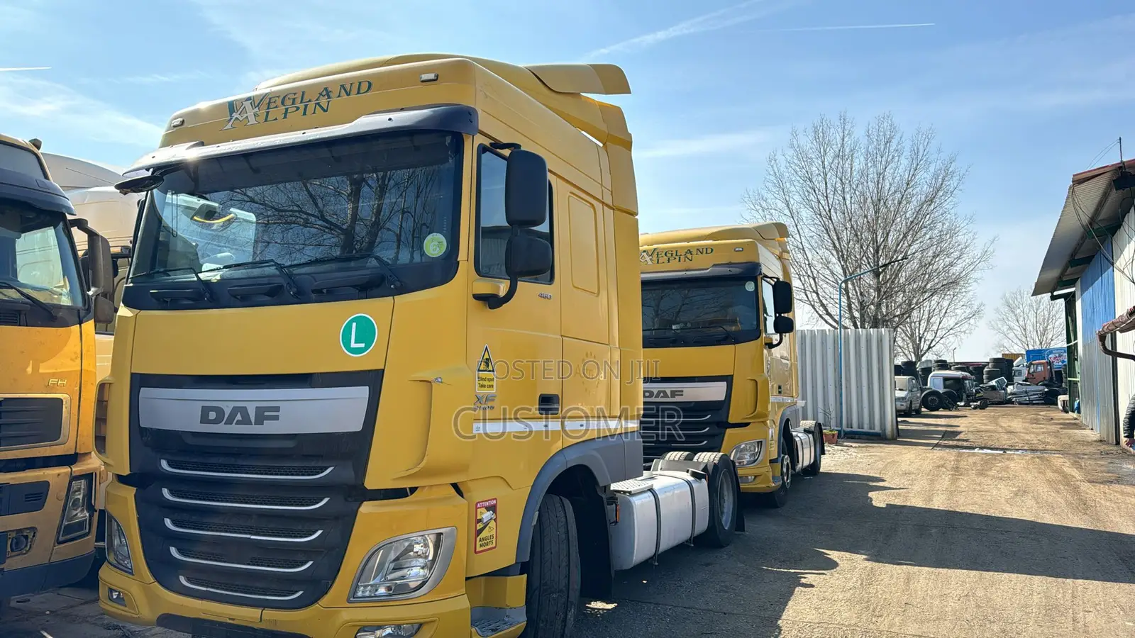 Brand New Daf Xf 460 2014 Yellow