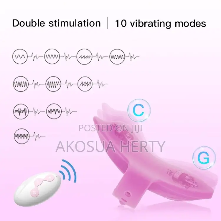 Panty Vibrator With Remote