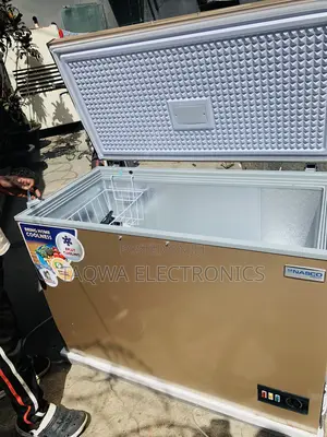 Strong 318 L Nasco Chest Freezer