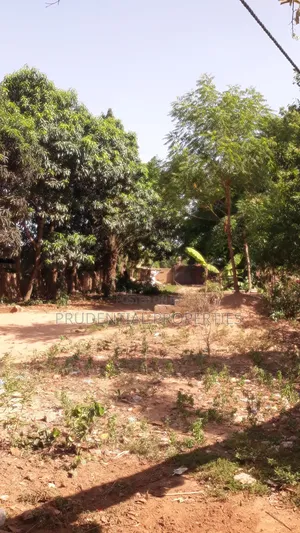 3 Plots of Land for Sale at Kwabenya
