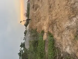 Airport Near Polo Club