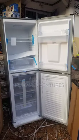 Roch 246l Bottom Freezer Fridge With Dispenser