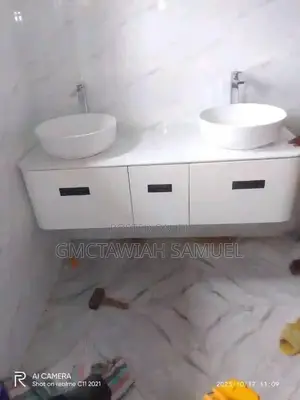 Professional Plumber
