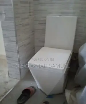 Professional Plumber