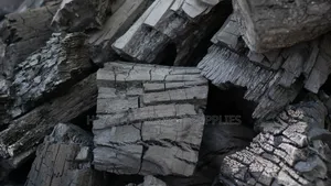 Mahogany Charcoal And Coconut Charcoal Powder