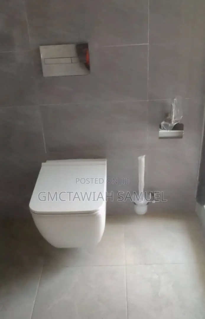 Professional Plumber