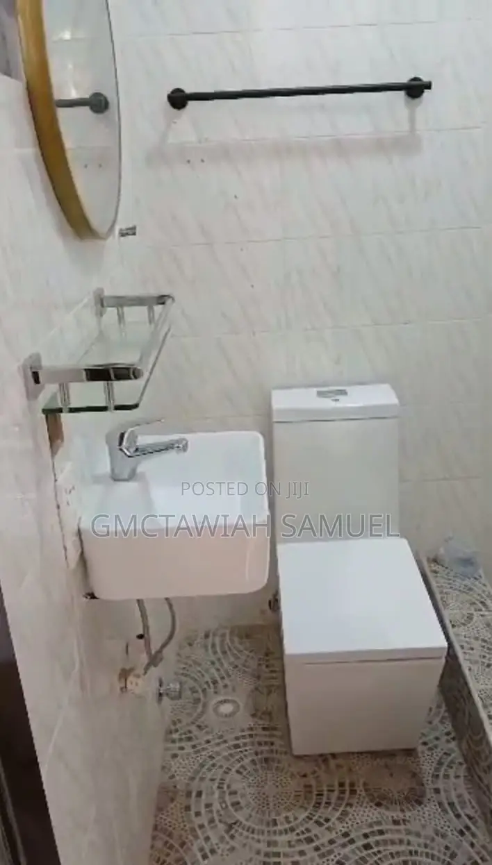 Professional Plumber