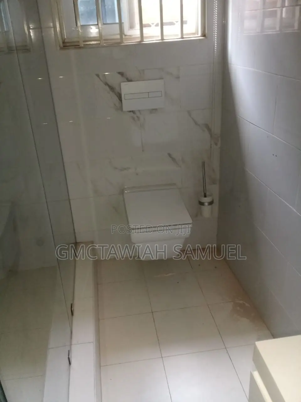 Professional Plumber