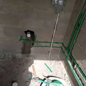 Professional Plumber