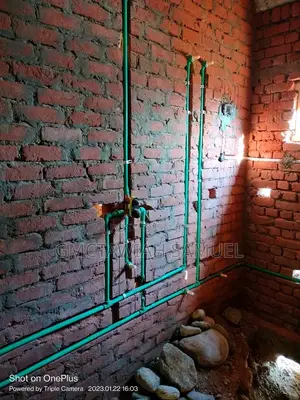 Professional Plumber