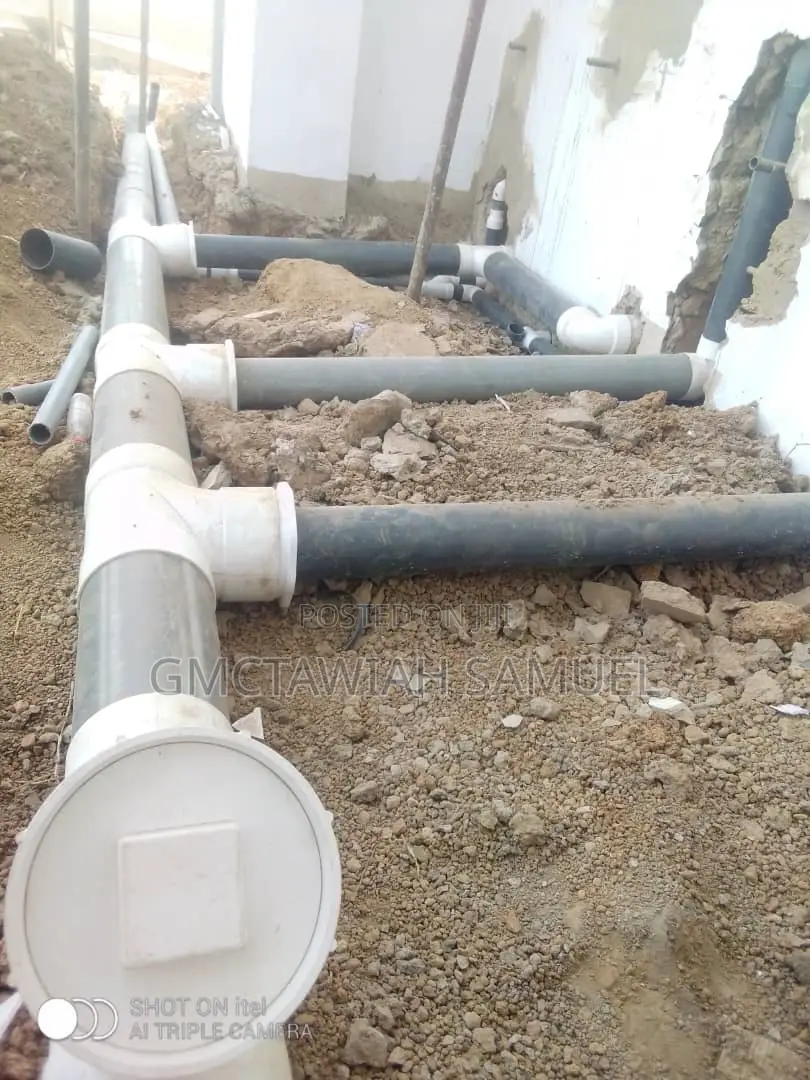 Professional Plumber