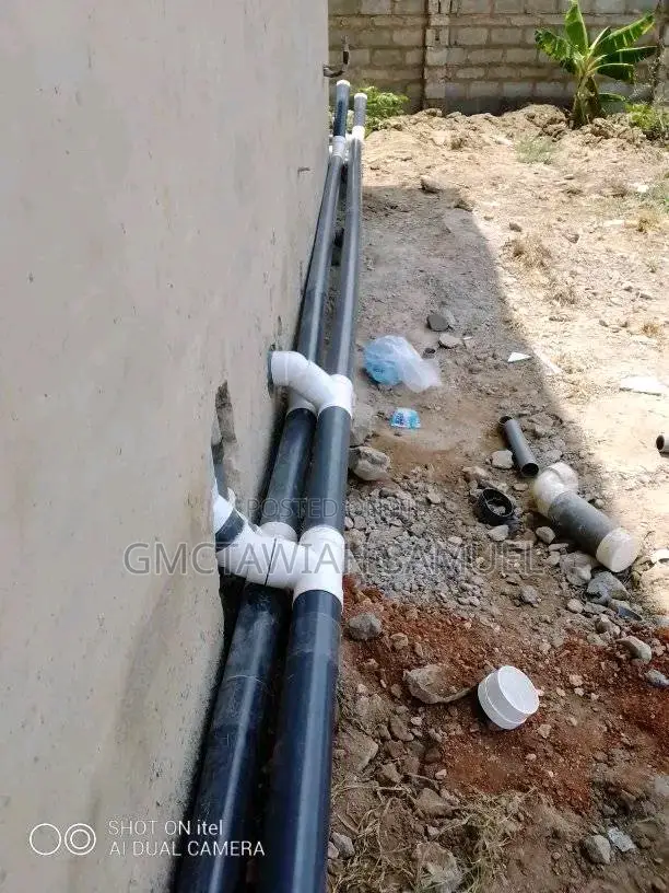 Professional Plumber