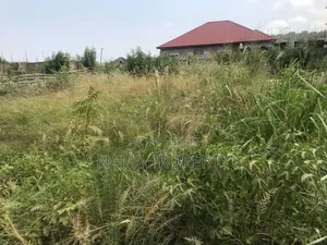 Ten Plots of Land for Sale Located at Oyibi Saasabi Junction