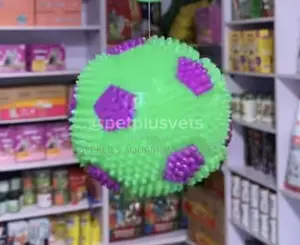 Ball Play Toy With Light