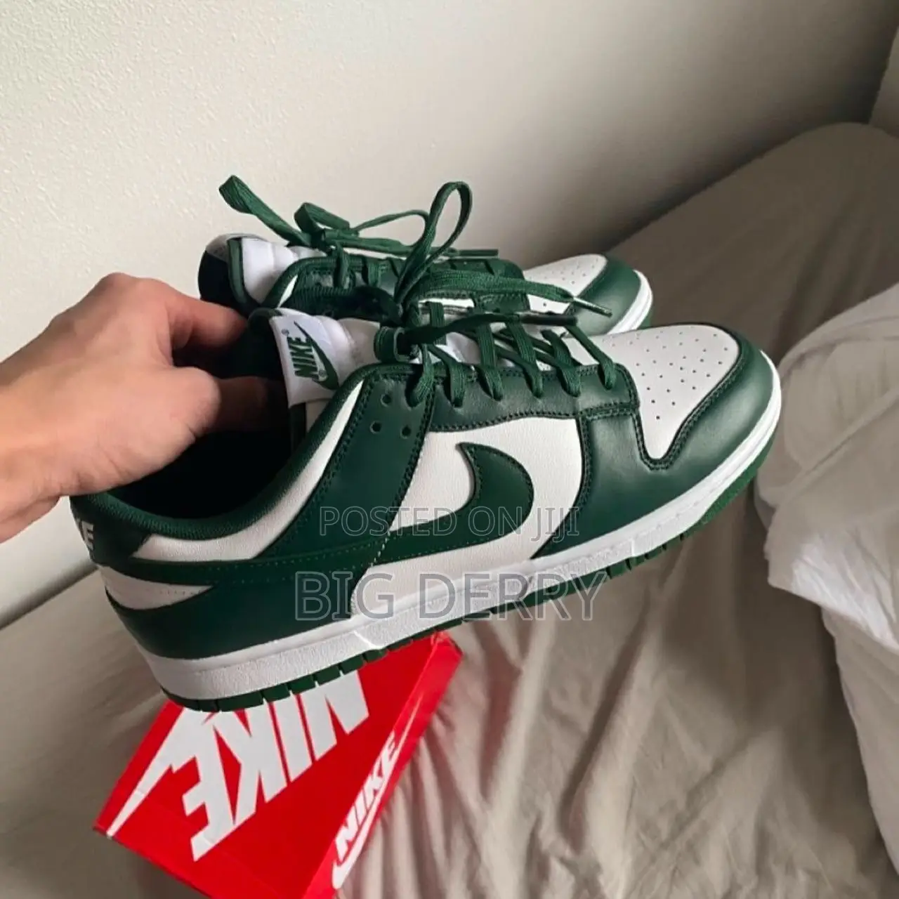 Nike Sb Dunk Green