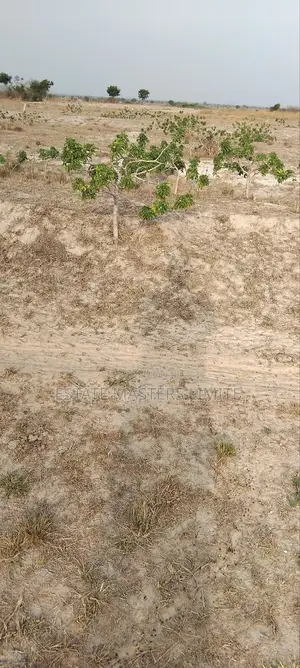 Titled Registered Lands for Sale at Tsopoli