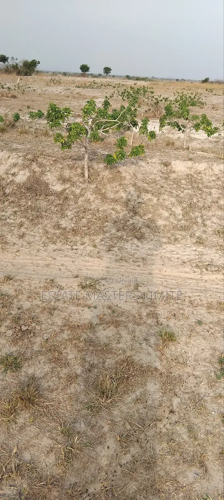 Titled Registered Lands for Sale at Tsopoli