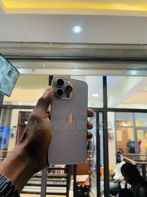 Apple iPhone 15 Pro Max 256 GB Silver