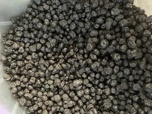 Dried Blueberry Fruits