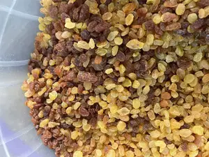 Dried Golden Raisin Fruits