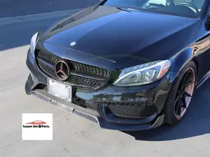Benz C300 Bumper Lip Only