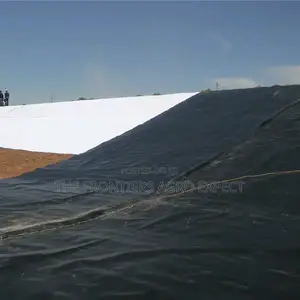 Hdpe Geomembran Dam Liner (400microns)