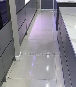 Professional Cleaning Services Homes, Offices New Buildings
