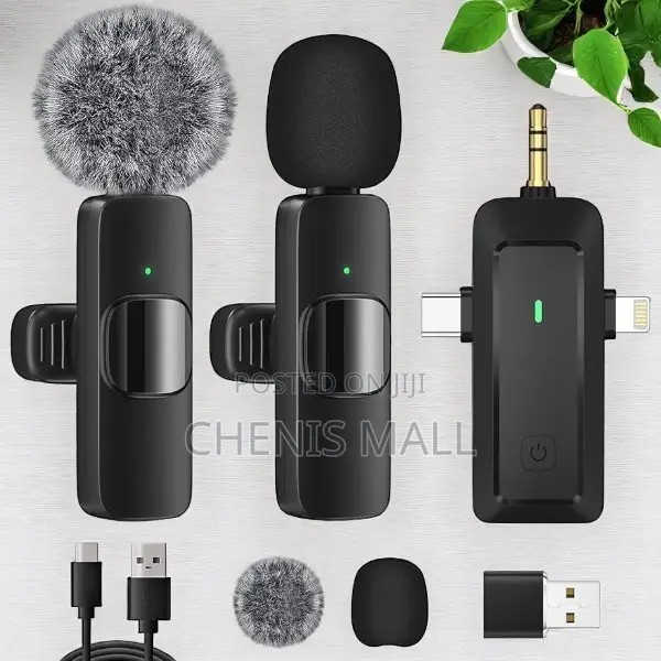 2 in 1microphone(1452