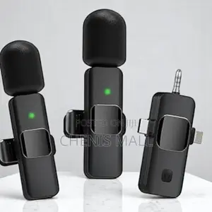 2 in 1microphone(147