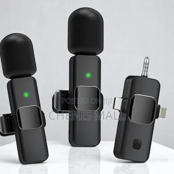 2 in 1microphone(147