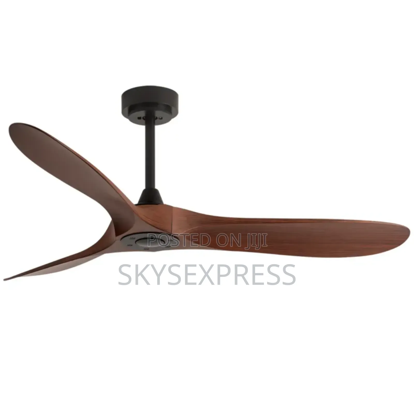 Decorative Ceiling Fan