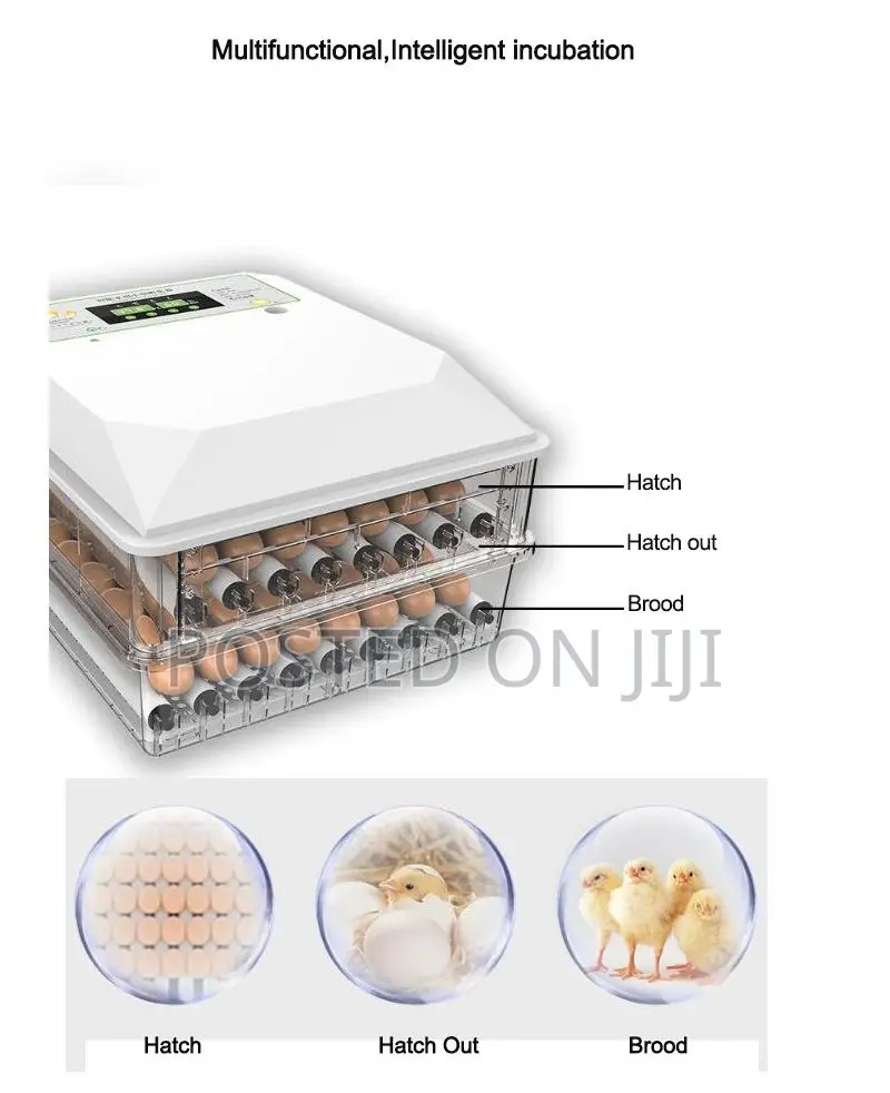 64 Eggs Incubators