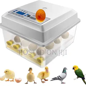 64 Eggs Incubators