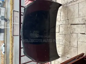 Pontiac Vibe 09-12 Bonnet