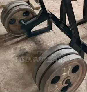 Pair of Local Gym Plates
