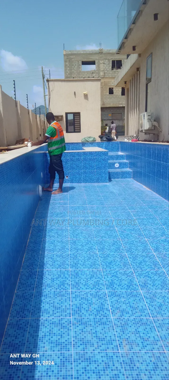 Swimming Pool Professionalist