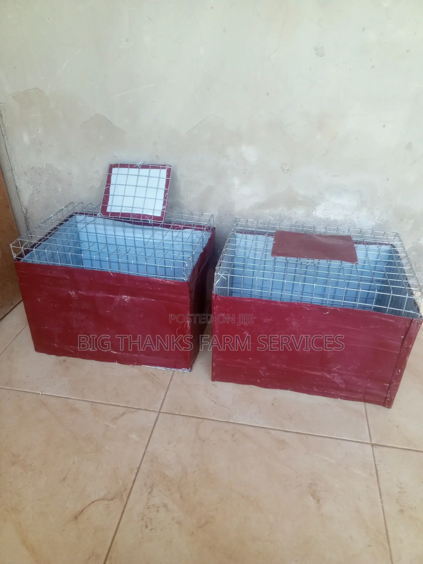 Grasscutter/Rabbit Transporting Cages