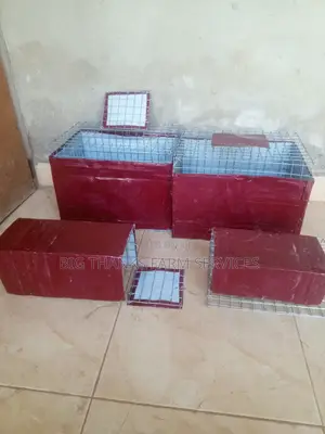 Grasscutter/Rabbit Transporting Cages