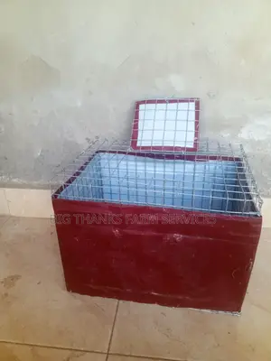 Grasscutter/Rabbit Transporting Cages