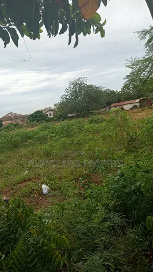 Titled Roadside Land for Sale at Danfa