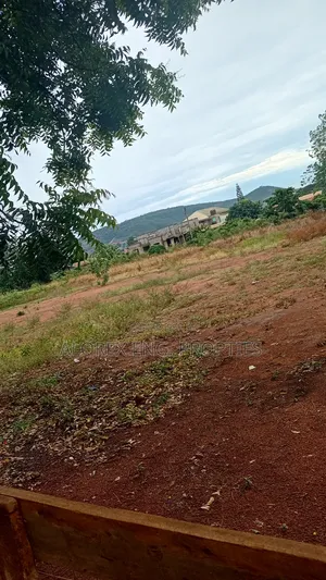 Titled Roadside Land for Sale at Danfa