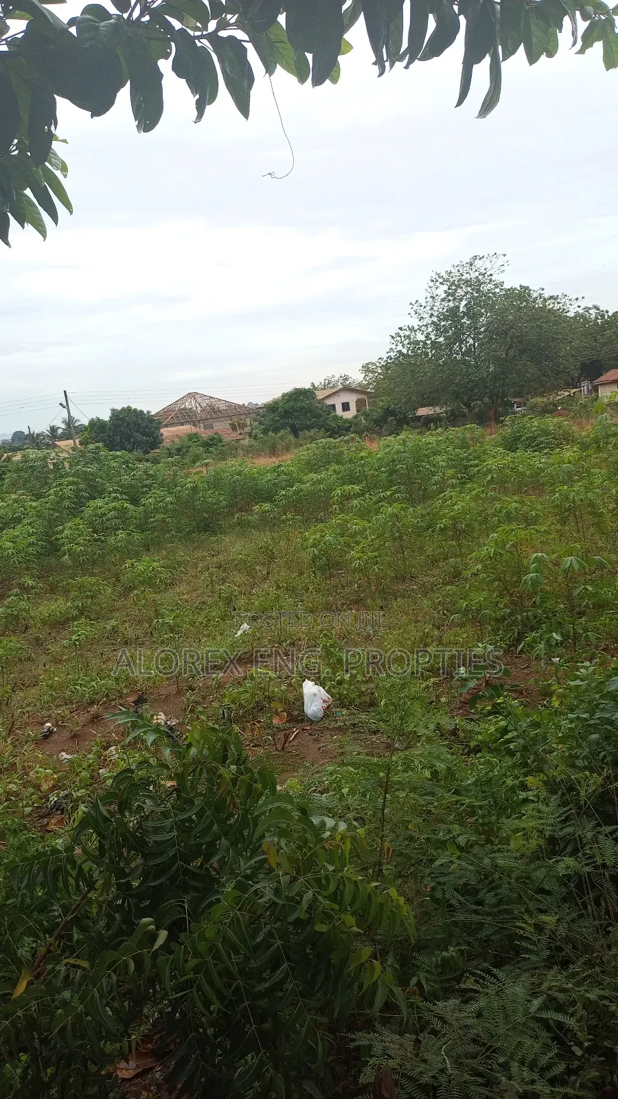 Titled Roadside Land for Sale at Danfa