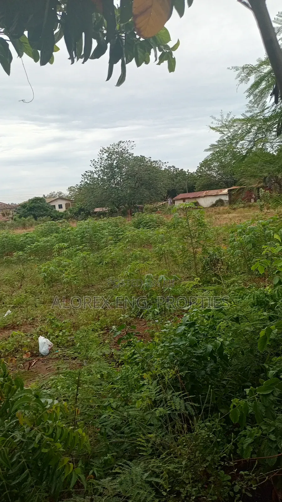 Titled Roadside Land for Sale at Danfa
